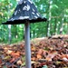 A large suspicious lone mushroom by anitaw