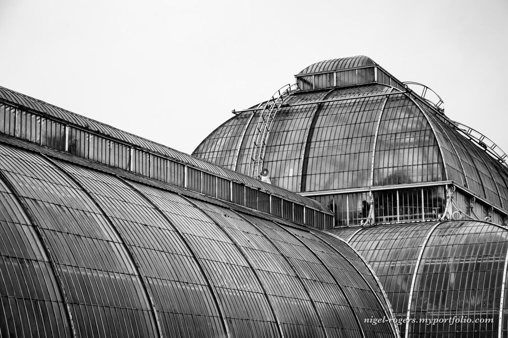 Palm House Kew by nigelrogers