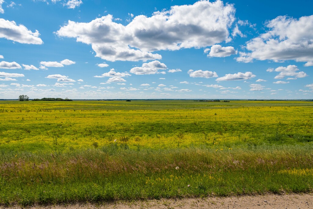 Saskatchewan Prairie by mgmurray