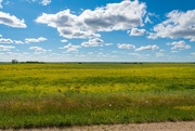 23rd Jul 2022 - Saskatchewan Prairie