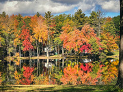 21st Oct 2022 - Autumn at Estes Lake