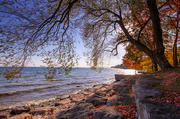 21st Oct 2022 - Autumn on Lake Ontario