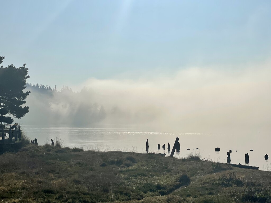 Morning Fog by lisaconrad