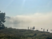 19th Oct 2022 - Morning Fog