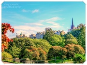 22nd Oct 2022 - Looking Towards Edinburgh Old Town From Princes Street Gardens