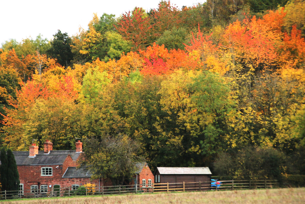 Autumn Cottage by shepherdman