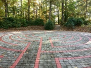 20th Oct 2022 - Alone with a labyrinth in a forest 