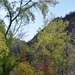 Glenwood Canyon  by sandlily