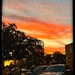 Sunset  by kaylynn2150