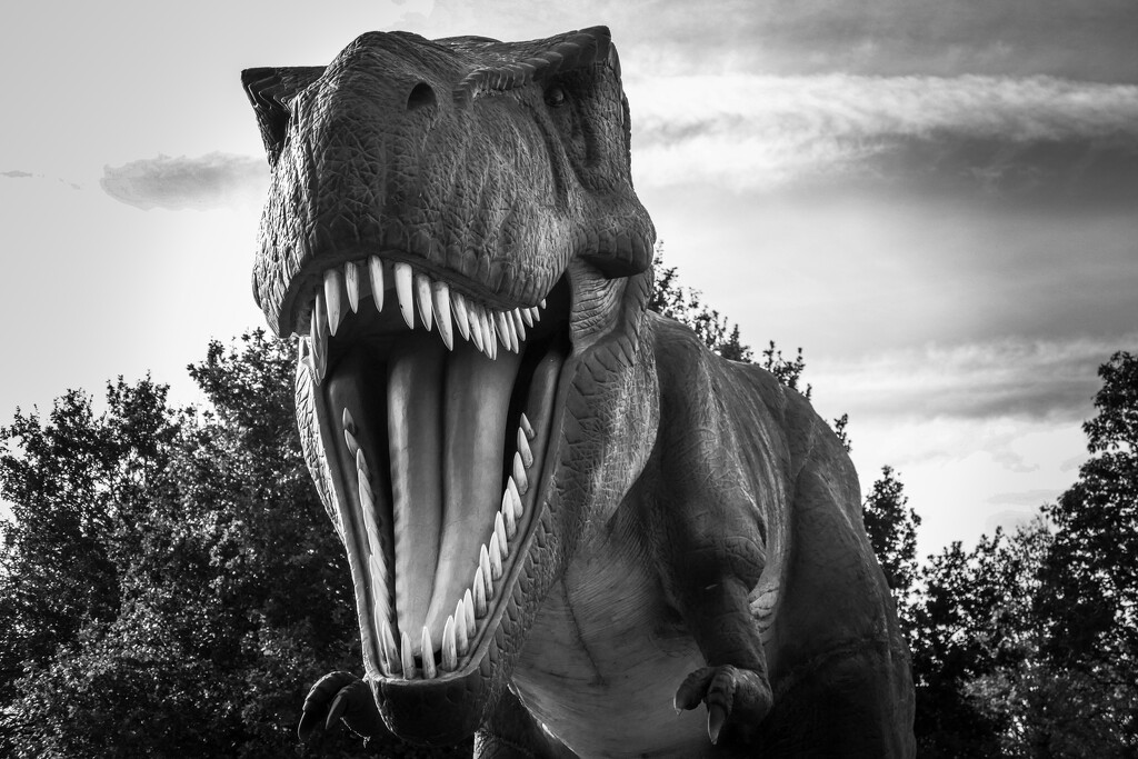 tyrannosaurus rex by cam365pix