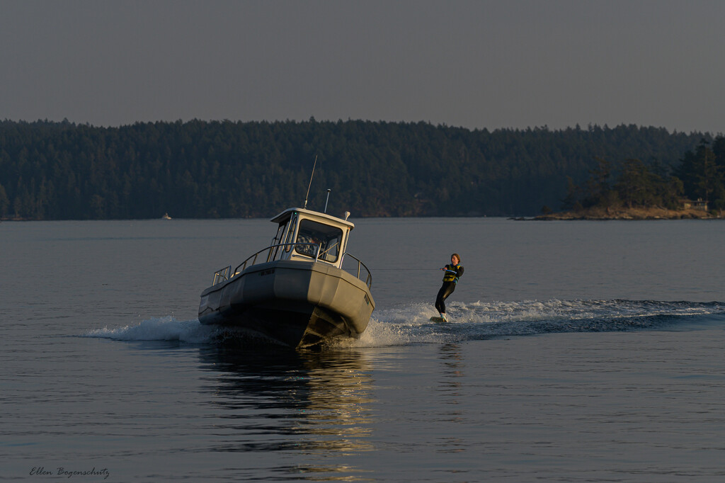 Water skier in the San Juan Islands by theredcamera