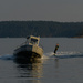 Water skier in the San Juan Islands by theredcamera
