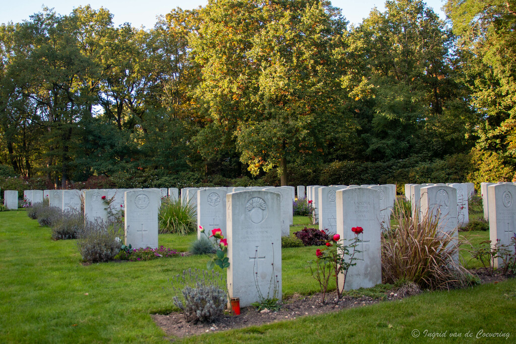 War Cemetery  by ingrid01