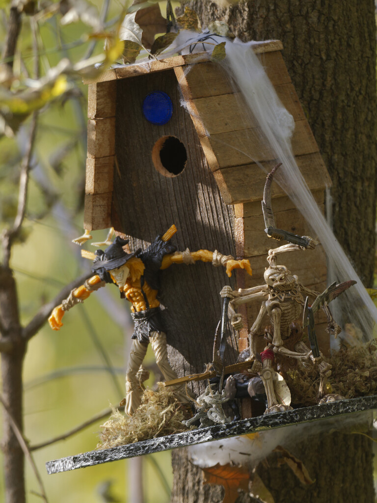birdhouse  by rminer