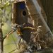 birdhouse  by rminer