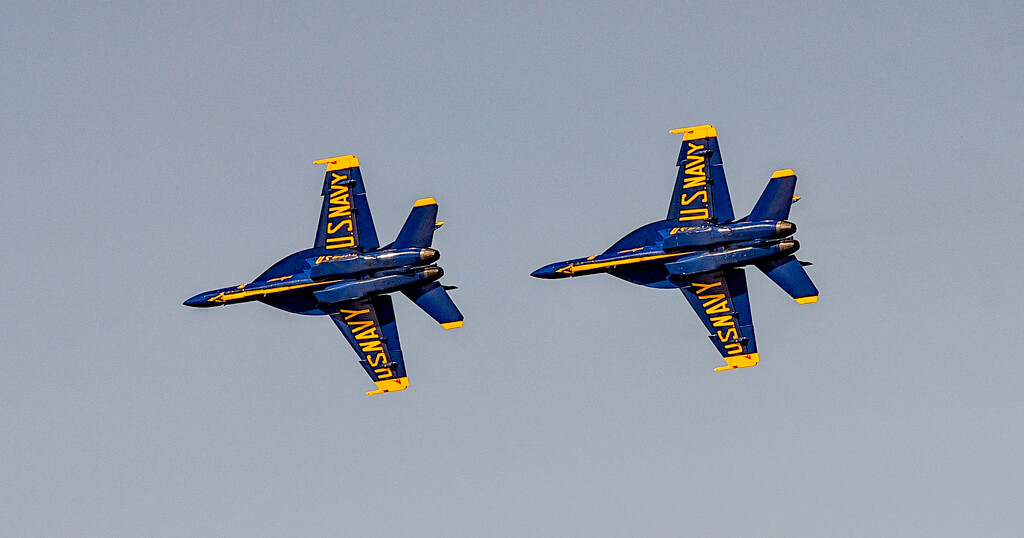 Blue Angel Chase! by rickster549