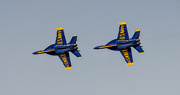 23rd Oct 2022 - Blue Angel Chase!