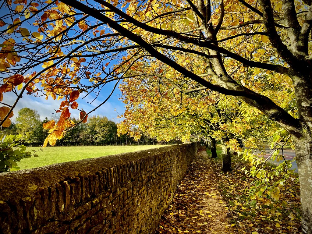 Walking home by nigelrogers