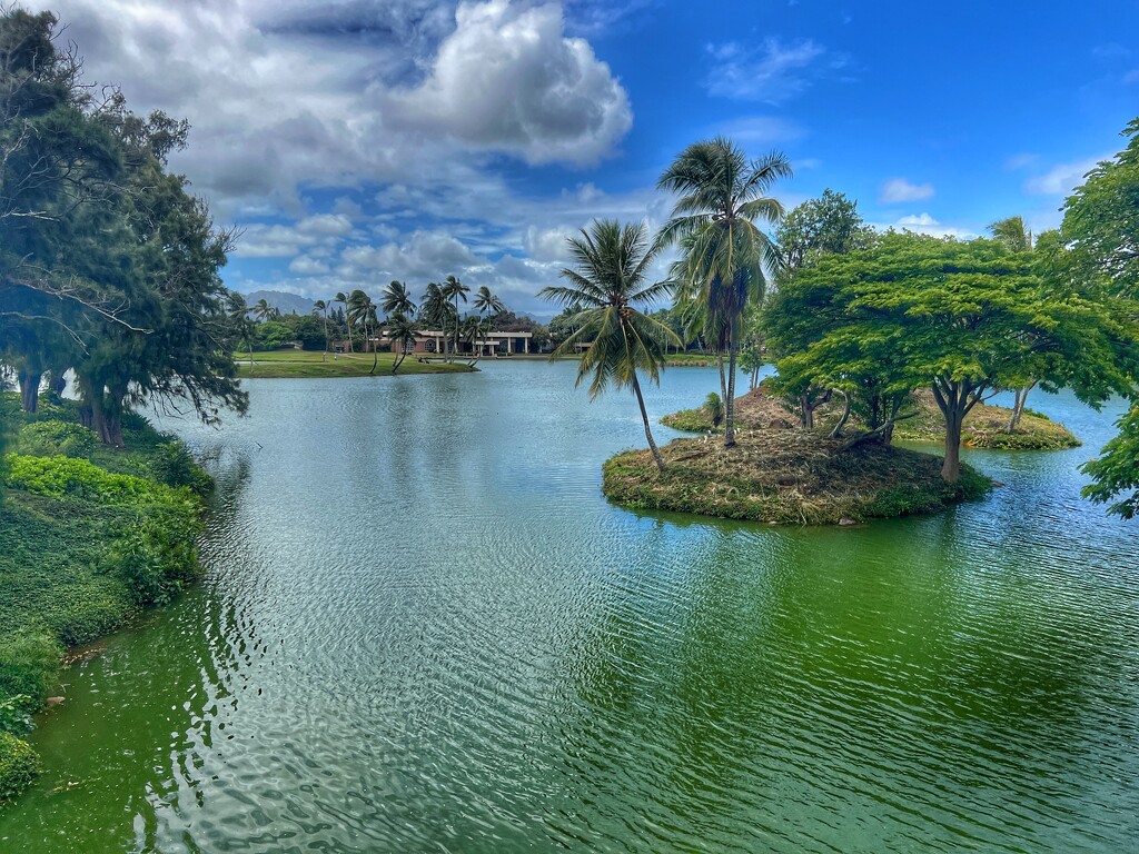 Kauai Lagoons by redy4et