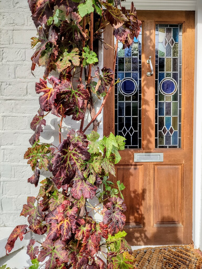 Autumn front door  by boxplayer