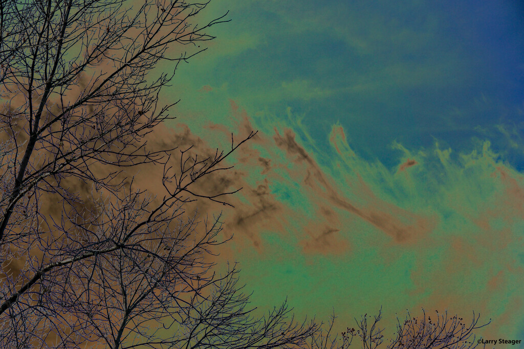 Tree and cloud abstract by larrysphotos