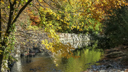 24th Oct 2022 - Etobicoke Creek in Fall