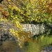 Etobicoke Creek in Fall by pdulis