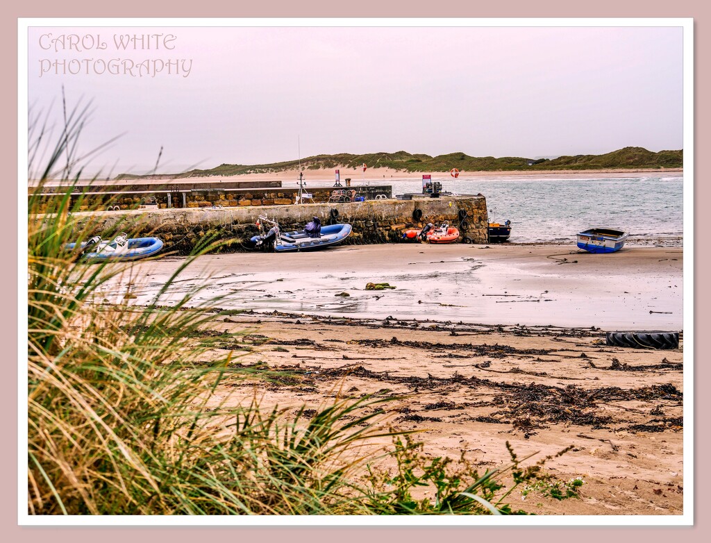 Beadnell Harbour,Northumbria by carolmw