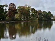 25th Oct 2022 - Reflections on the lake
