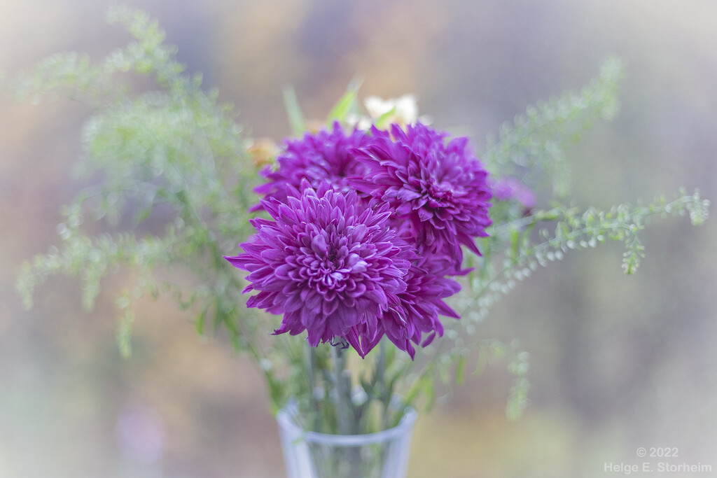 Bouquet & Bokeh :-) by helstor365