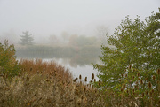 25th Oct 2022 - Misty Morning Pond