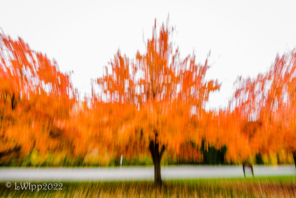 Fall Explosion  by lesip