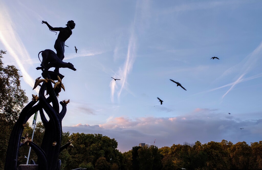 Morning fountain and gulls by boxplayer