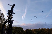 25th Oct 2022 - Morning fountain and gulls