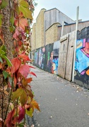 26th Oct 2022 - Autumn in the city