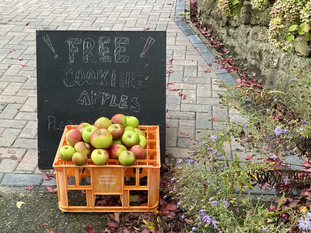 Apples for free by cafict