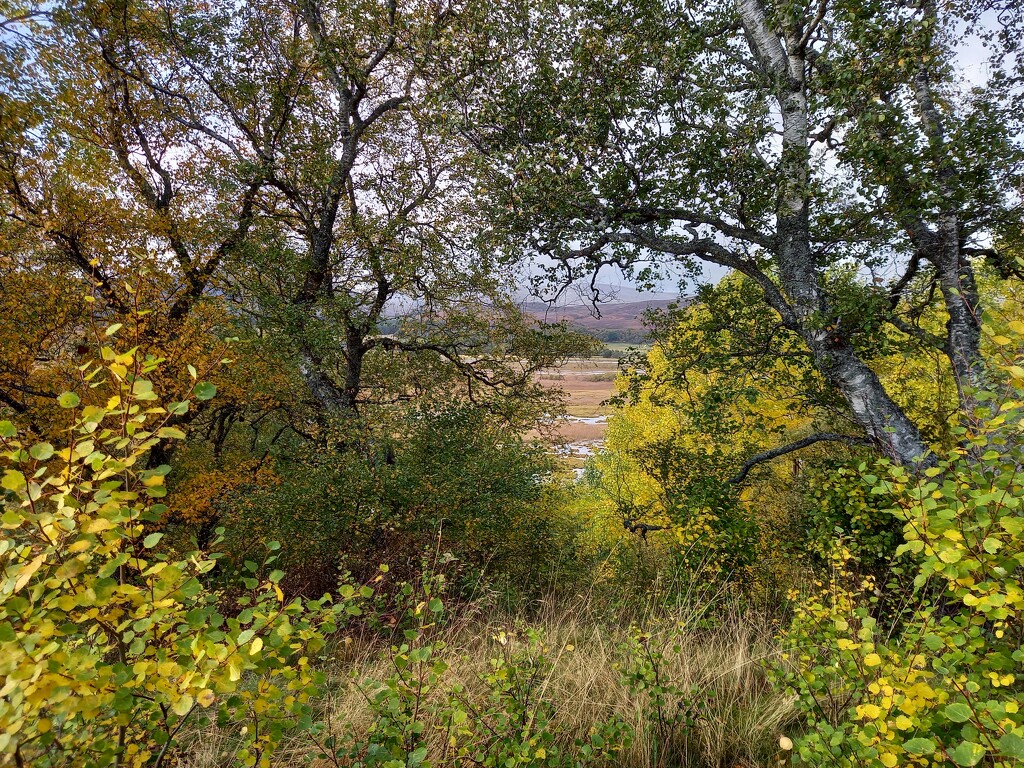 Looking towards Insh Marshes by valpetersen