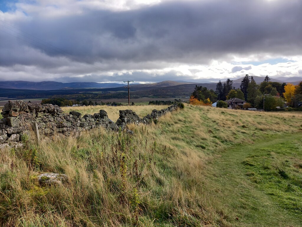 The field above Kingussie by valpetersen