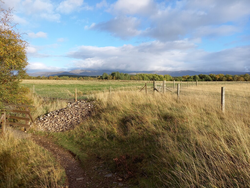 Start of Invertromie Trail by valpetersen