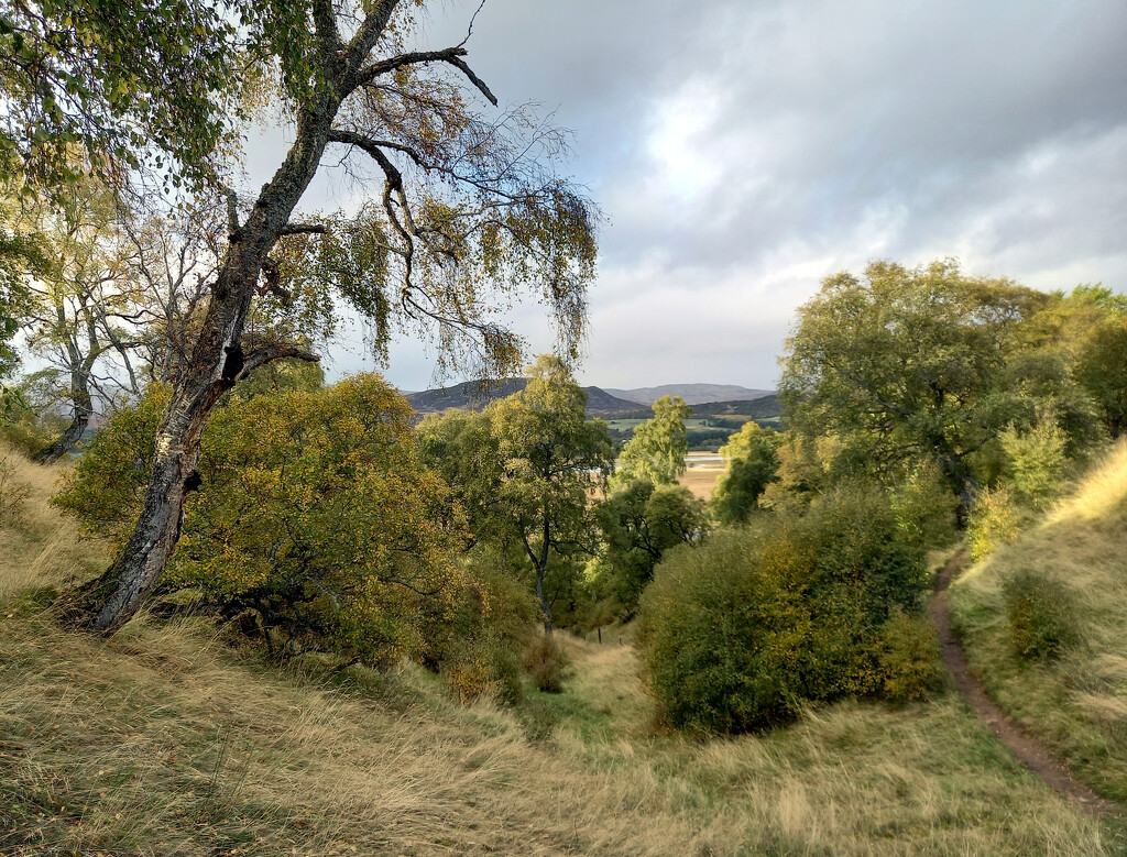 Looking down to Insh Marshes by valpetersen