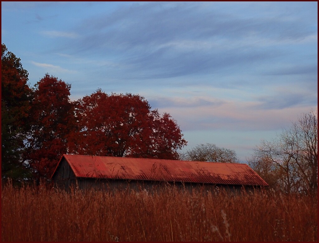 A Red Roof Against an Autumn Sky (red frame) by olivetreeann