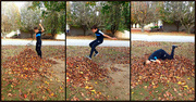 21st Oct 2022 - Fun with Leaves 