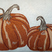 Pumpkin Pillow by larrysphotos