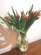 25th Apr 2022 - Spring Flowers