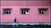 27th Oct 2022 - In the pink