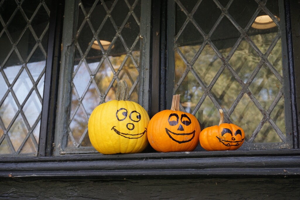 Jack-o-Lanterns at Agecroft Hall by allie912