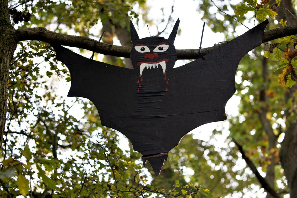 Halloween Bat by carole_sandford