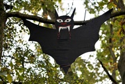 27th Oct 2022 - Halloween Bat