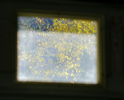 27th Oct 2022 - Looking Out
