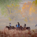 Fall riding by lindasees